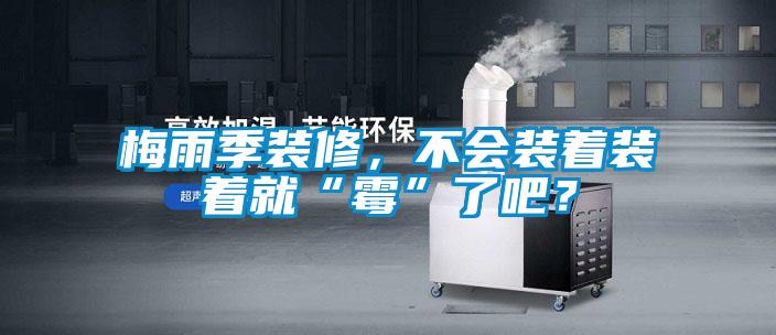 梅雨季裝修,不會裝著裝著就“霉”了吧?