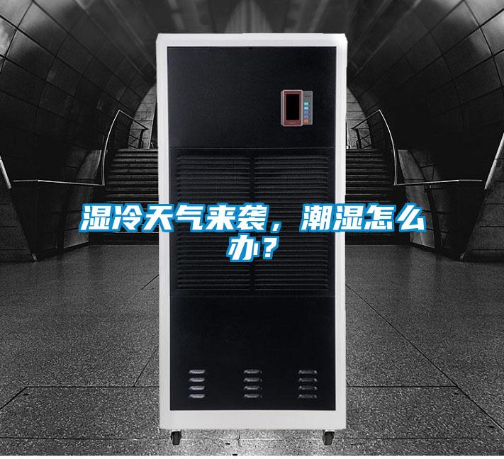 濕冷天氣來(lái)襲,潮濕怎么辦?