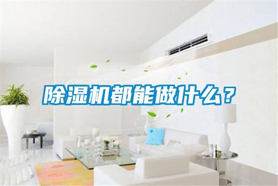 除濕機都能做什么?