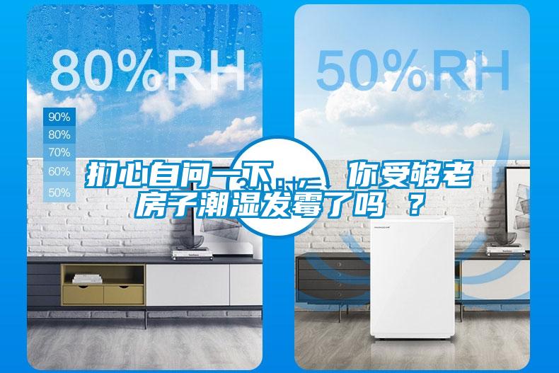 捫心自問一下 , 你受夠老房子潮濕發霉了嗎 ?