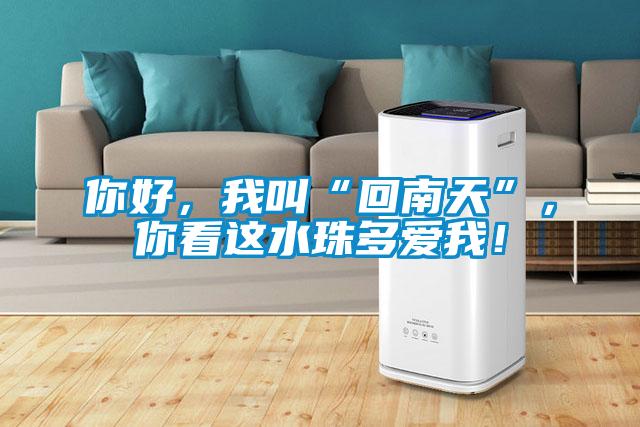 你好，我叫“回南天”，你看這水珠多愛我！