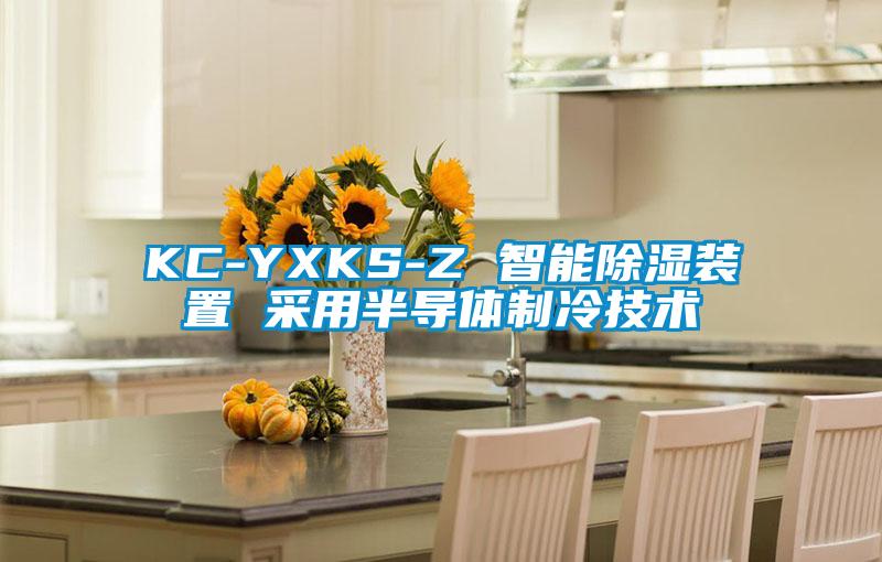 KC-YXKS-Z 智能除濕裝置 采用半導體制冷技術