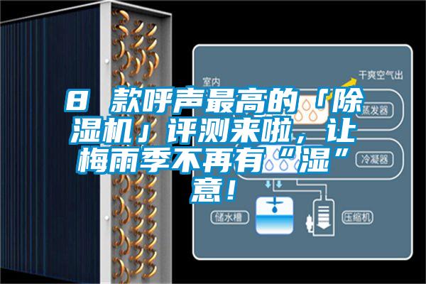 8 款呼聲最高的「除濕機」評測來啦，讓梅雨季不再有“濕”意！