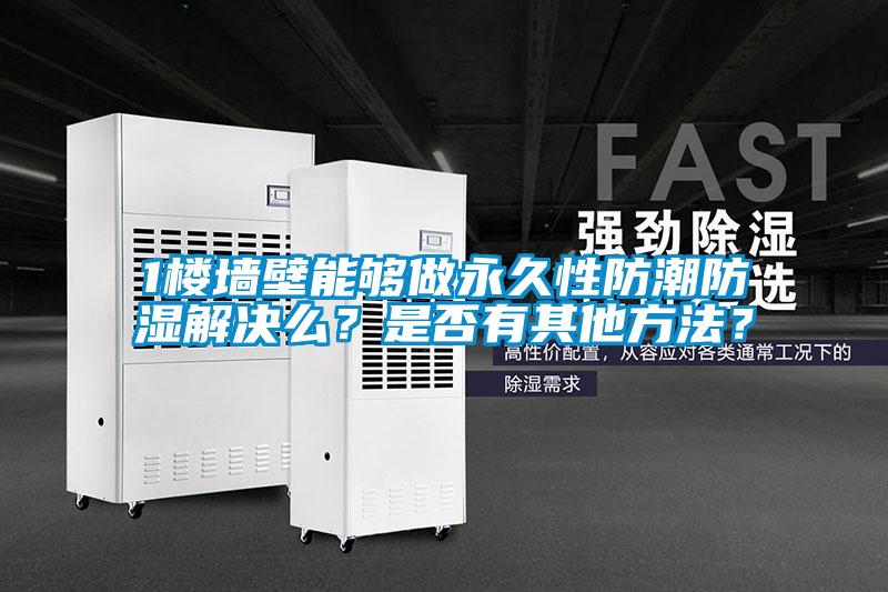 1樓墻壁能夠做永久性防潮防濕解決么？是否有其他方法？