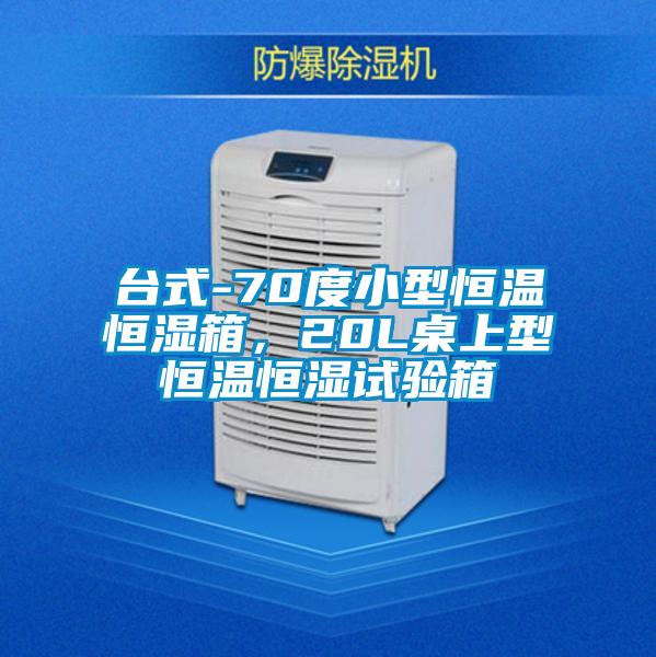 臺式-70度小型恒溫恒濕箱，20L桌上型恒溫恒濕試驗箱