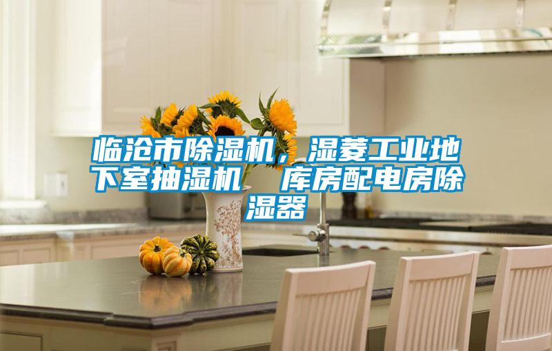 臨滄市除濕機(jī)，濕菱工業(yè)地下室抽濕機(jī)  庫房配電房除濕器