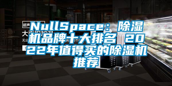 NullSpace:除濕機品牌十大排名 2022年值得買的除濕機推薦