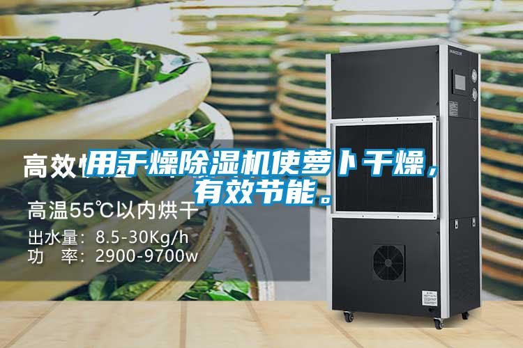 用干燥除濕機使蘿卜干燥，有效節能。