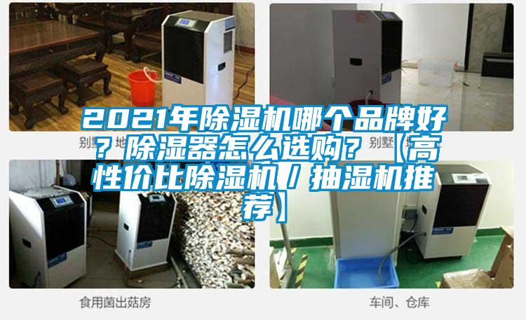 2021年除濕機哪個品牌好？除濕器怎么選購？【高性價比除濕機／抽濕機推薦】