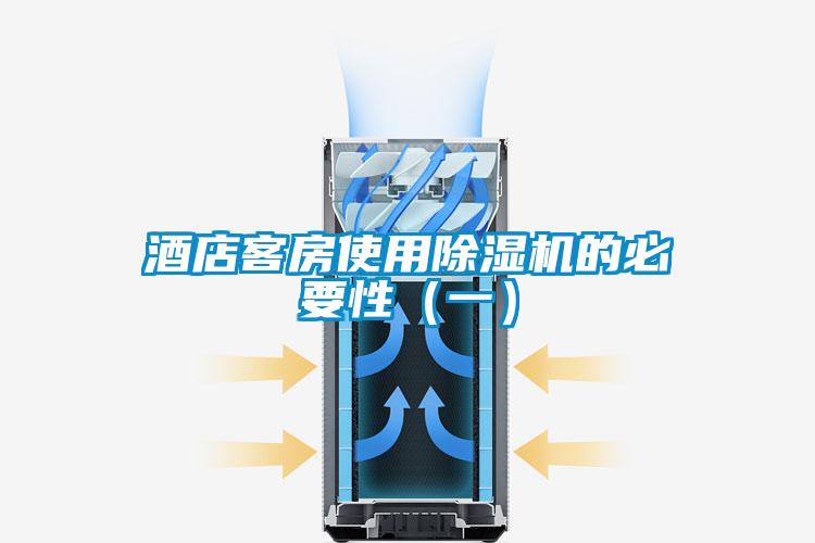 酒店客房使用除濕機(jī)的必要性(一)
