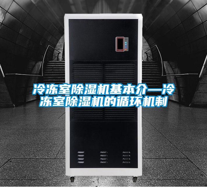 冷凍室除濕機基本介—冷凍室除濕機的循環(huán)機制