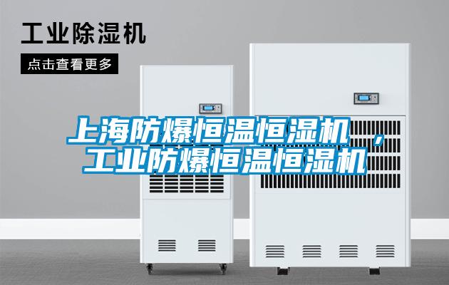 上海防爆恒溫恒濕機(jī) ,工業(yè)防爆恒溫恒濕機(jī)