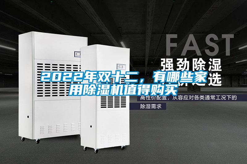 2022年雙十二,有哪些家用除濕機值得購買