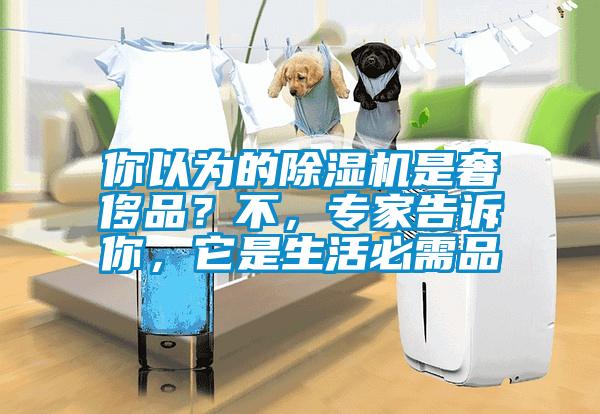 你以為的除濕機(jī)是奢侈品？不，專家告訴你，它是生活必需品