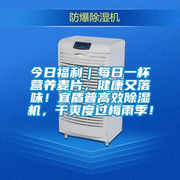 今日福利｜每日一杯營養(yǎng)麥片，健康又落味！宜盾普高效除濕機，干爽度過梅雨季！