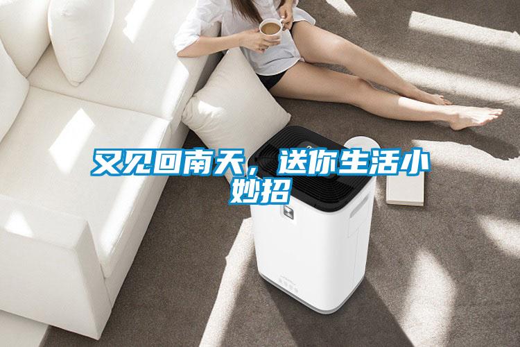 又見回南天，送你生活小妙招