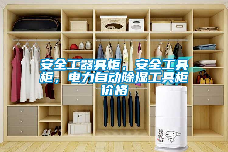 安全工器具柜,安全工具柜,電力自動除濕工具柜價格