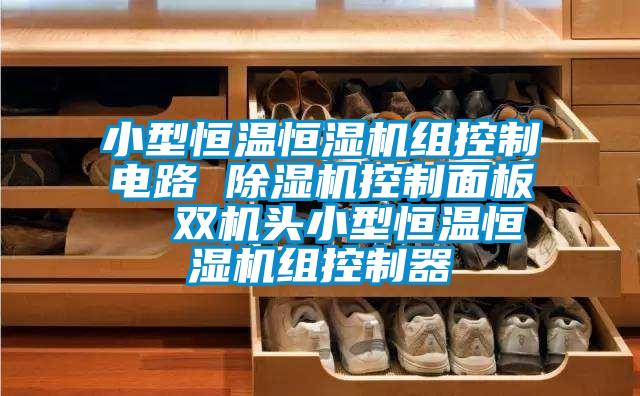 小型恒溫恒濕機(jī)組控制電路 除濕機(jī)控制面板 雙機(jī)頭小型恒溫恒濕機(jī)組控制器