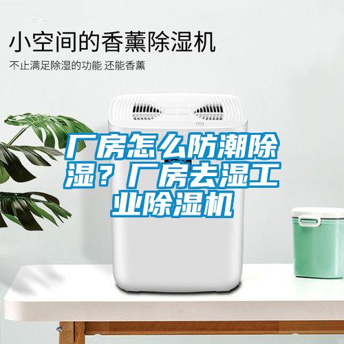 廠房怎么防潮除濕?廠房去濕工業除濕機