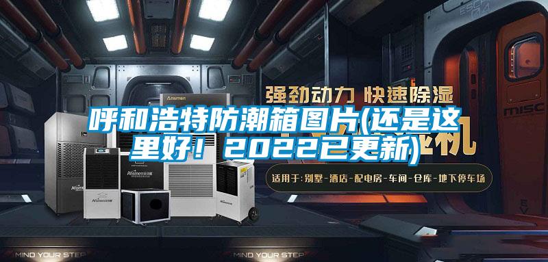 呼和浩特防潮箱圖片(還是這里好！2022已更新)