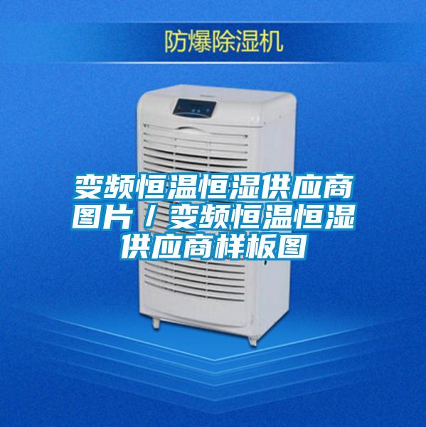 變頻恒溫恒濕供應商圖片/變頻恒溫恒濕供應商樣板圖