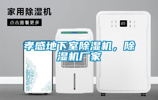 孝感地下室除濕機，除濕機廠家