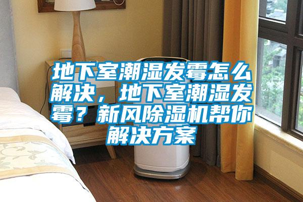 地下室潮濕發(fā)霉怎么解決,地下室潮濕發(fā)霉?新風(fēng)除濕機(jī)幫你解決方案