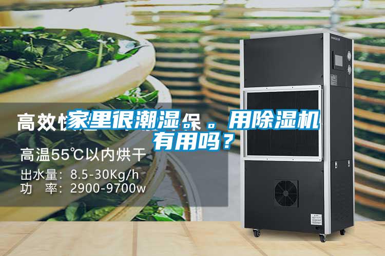 家里很潮濕。。用除濕機有用嗎？