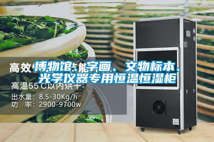 博物館、字畫、文物標本、光學儀器專用恒溫恒濕柜