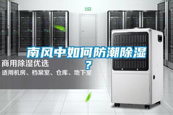 南風中如何防潮除濕？