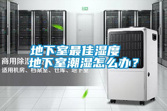地下室最佳濕度 地下室潮濕怎么辦?