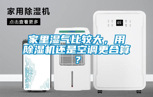 家里濕氣比較大，用除濕機還是空調更合算？