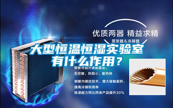 大型恒溫恒濕實(shí)驗(yàn)室有什么作用?