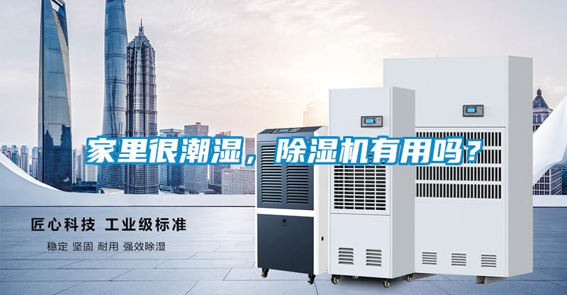 家里很潮濕，除濕機有用嗎？