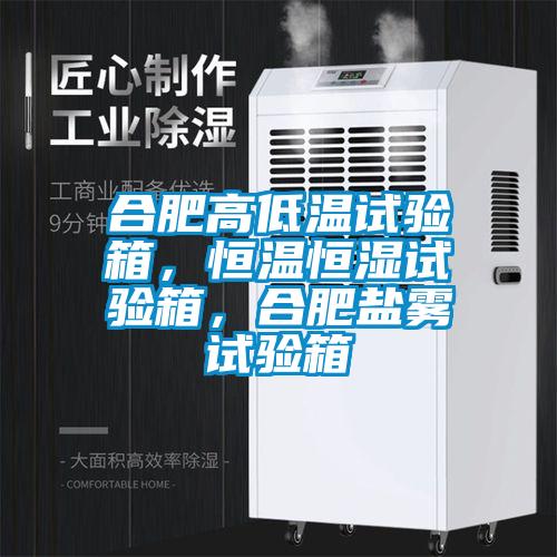 合肥高低溫試驗箱，恒溫恒濕試驗箱，合肥鹽霧試驗箱