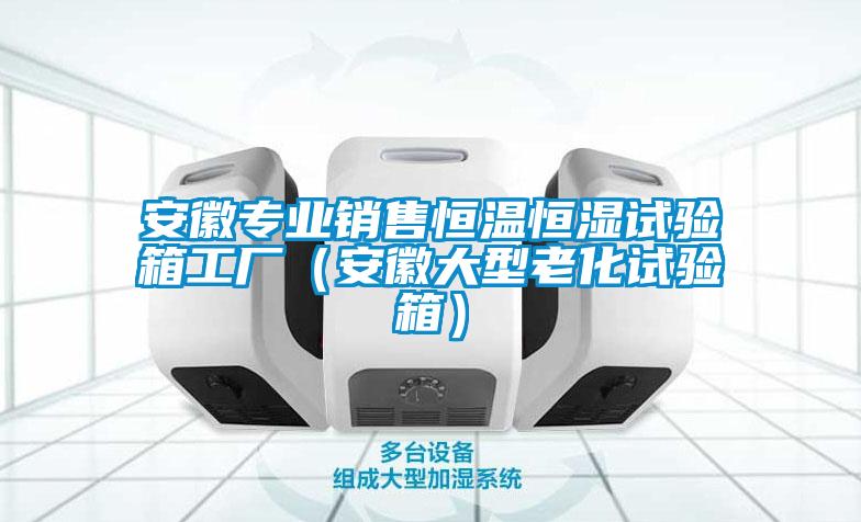 安徽專業(yè)銷售恒溫恒濕試驗(yàn)箱工廠（安徽大型老化試驗(yàn)箱）