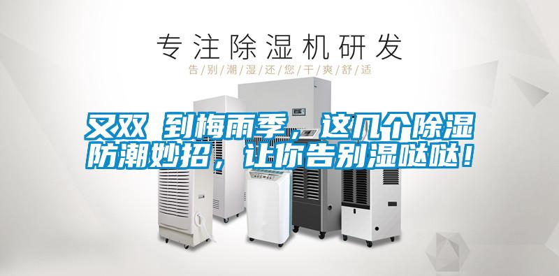 又雙叒到梅雨季，這幾個除濕防潮妙招，讓你告別濕噠噠！