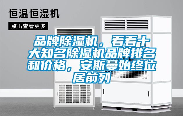 品牌除濕機，看看十大知名除濕機品牌排名和價格，安斯曼始終位居前列