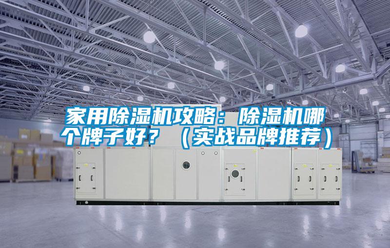 家用除濕機攻略:除濕機哪個牌子好?(實戰(zhàn)品牌推薦)