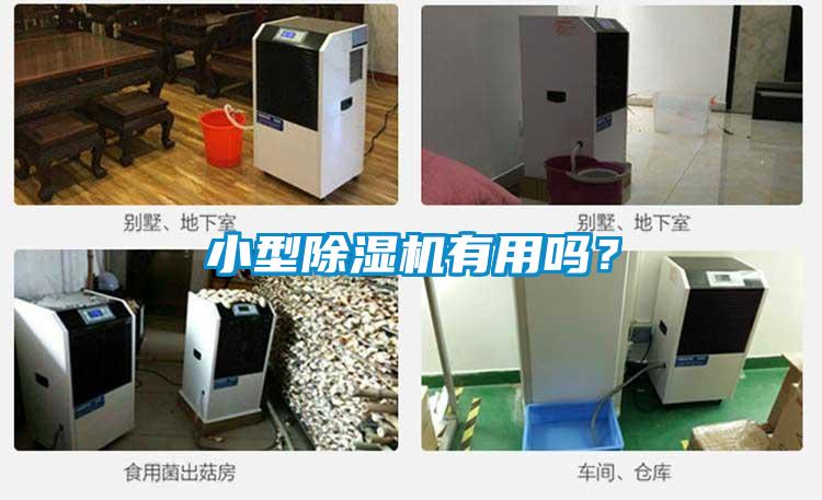 小型除濕機有用嗎？