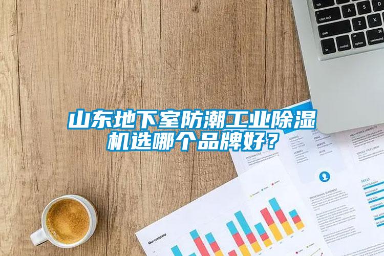 山東地下室防潮工業(yè)除濕機(jī)選哪個品牌好？