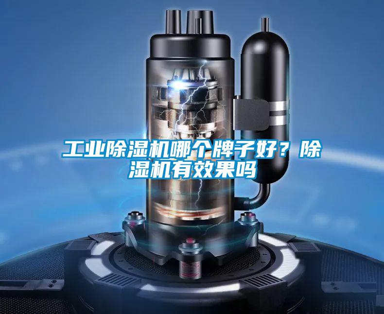工業(yè)除濕機(jī)哪個牌子好?除濕機(jī)有效果嗎