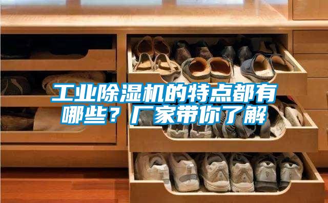 工業除濕機的特點都有哪些？廠家帶你了解