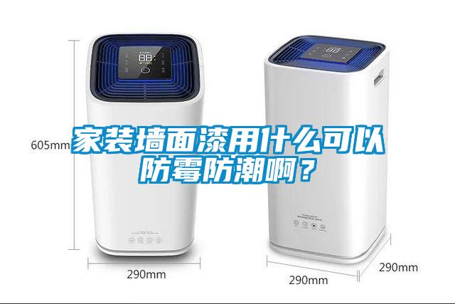 家裝墻面漆用什么可以防霉防潮啊？