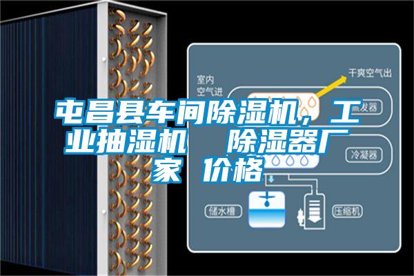 屯昌縣車間除濕機，工業(yè)抽濕機  除濕器廠家 價格