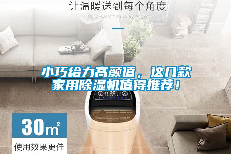 小巧給力高顏值，這幾款家用除濕機值得推薦！
