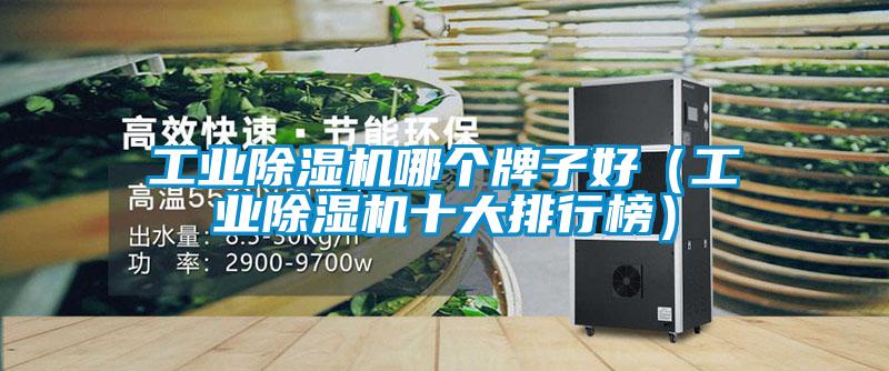 工業(yè)除濕機(jī)哪個(gè)牌子好(工業(yè)除濕機(jī)十大排行榜)