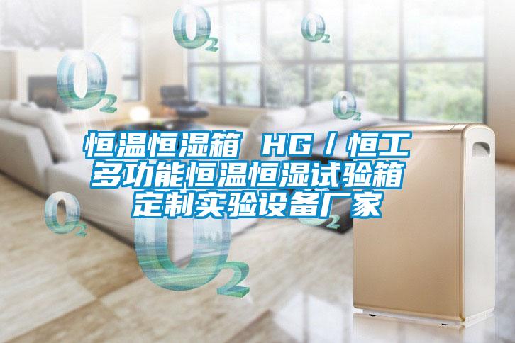 恒溫恒濕箱 HG/恒工 多功能恒溫恒濕試驗箱 定制實驗設(shè)備廠家