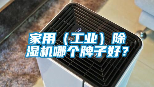家用（工業）除濕機哪個牌子好？