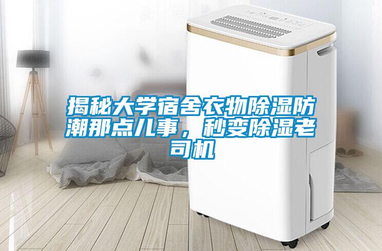 揭秘大學宿舍衣物除濕防潮那點兒事，秒變除濕老司機